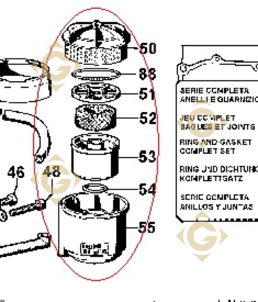 Moteur lombardini im 359