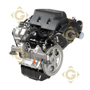 Moteur Lombardini LDW 442 Diesel