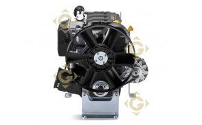 Engine Lombardini LDW 1003/ KDW 1003 Diesel