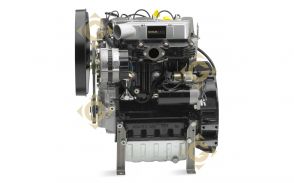 Engine Lombardini LDW 1603 / KDW 1603 Diesel