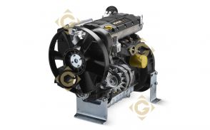 Moteur Lombardini LDW 1404 / KDW 1404 Diesel