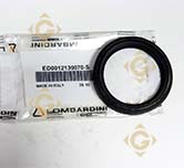 Seal Ring 55*72*10 1213007 engines LOMBARDINI