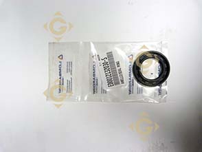 Spare parts Seal Ring 1213203 For Engines LOMBARDINI, by marks LOMBARDINI