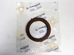 Spare parts Seal Ring 1213351 For Engines LOMBARDINI, by marks LOMBARDINI