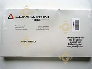 Spare parts Gasket Set 8205086 For Engines LOMBARDINI, by marks LOMBARDINI