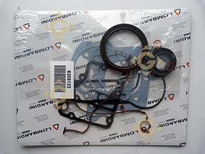 Spare parts Gasket Set 8205123 For Engines LOMBARDINI, by marks LOMBARDINI