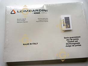 Spare parts Gasket Set 8205111 For Engines LOMBARDINI, by marks LOMBARDINI