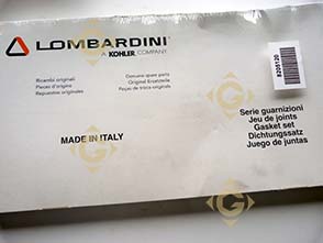 Spare parts Gasket Set 8205120 For Engines LOMBARDINI, by marks LOMBARDINI