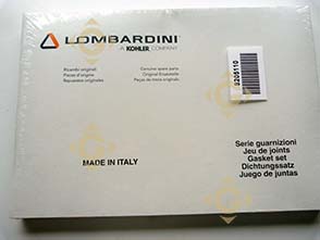Spare parts Gasket Set 8205110 For Engines LOMBARDINI, by marks LOMBARDINI