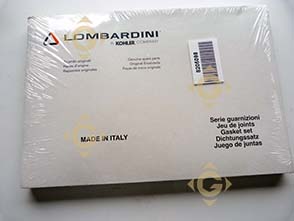 Spare parts Gasket Set 8205098 For Engines LOMBARDINI, by marks LOMBARDINI