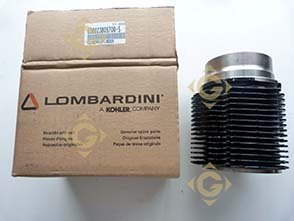 Spare parts Cylinder 2380570 For Engines LOMBARDINI, by marks LOMBARDINI