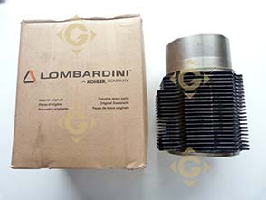 Spare parts Cylinder diam.106 2380134 For Engines LOMBARDINI, by marks LOMBARDINI