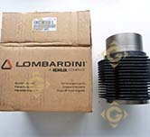 Cylindre 2380553 moteurs Lombardini