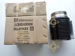 Spare parts Cylinder 2380103 For Engines LOMBARDINI, by marks LOMBARDINI