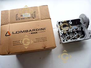 Spare parts Complete Head 9200707 For Engines LOMBARDINI, by marks LOMBARDINI