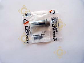 Pièces détachées Injecteur 6531104 Pour Moteurs Lombardini, de marque Lombardini