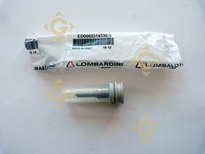 Pièces détachées Injecteur 6531433 Pour Moteurs Lombardini, de marque Lombardini