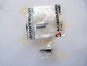 Pièces détachées Injecteur 6531447 Pour Moteurs Lombardini, de marque Lombardini