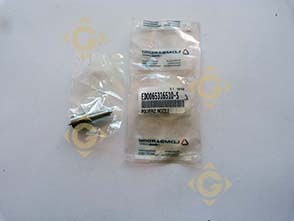 Pièces détachées Injecteur 6531651 Pour Moteurs Lombardini, de marque Lombardini