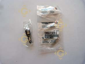 Pièces détachées Injecteur 6531507 Pour Moteurs Lombardini, de marque Lombardini