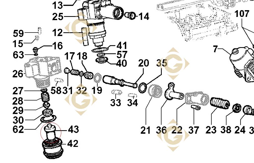 Injector 6531436 engine LOMBARDINI LDW 903 GDN INDUSTRIES