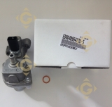 Thermostat 4896422 moteurs Lombardini