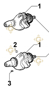 Spare parts Conical Cranckshaft 1051433 For Engines LOMBARDINI, by marks LOMBARDINI