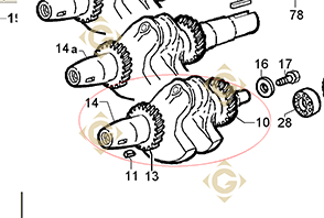 Spare parts Conical Cranckshaft 1051435 For Engines LOMBARDINI, by marks LOMBARDINI