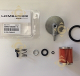 Filtre Combustible 3730028 moteurs Lombardini