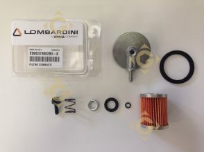 Pièces détachées Filtre Combustible 3730028 Pour Moteurs Lombardini, de marque Lombardini