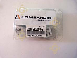 Pièces détachées Pompe à injection 6590359 Pour Moteurs Lombardini, de marque Lombardini
