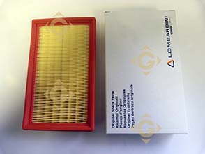 Spare parts Air Filter Cartridge 2175164 For Engines LOMBARDINI, by marks LOMBARDINI