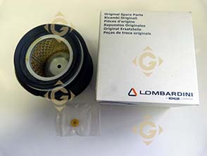 Spare parts Air Filter Cartridge 2175254 For Engines LOMBARDINI, by marks LOMBARDINI