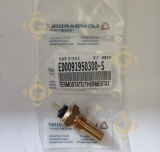 Thermostat 9195030 engines LOMBARDINI