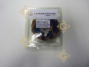 Spare parts Alternator 12V 1157158 For Engines LOMBARDINI, by marks LOMBARDINI