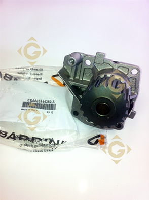 Spare parts Water Pump 6584438 For Engines LOMBARDINI, by marks LOMBARDINI