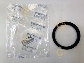 Spare parts Seal Ring 83*100*10 1213547 For Engines LOMBARDINI, by marks LOMBARDINI