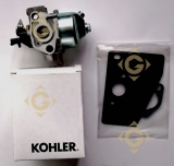 Spare parts Carburetor Kit k1485367s